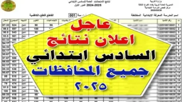 تنزيل نتائج السادس الابتدائي 2025 الدور الثالث PDF الآن.. استعلم فوراً عبر موقع نتائجنا